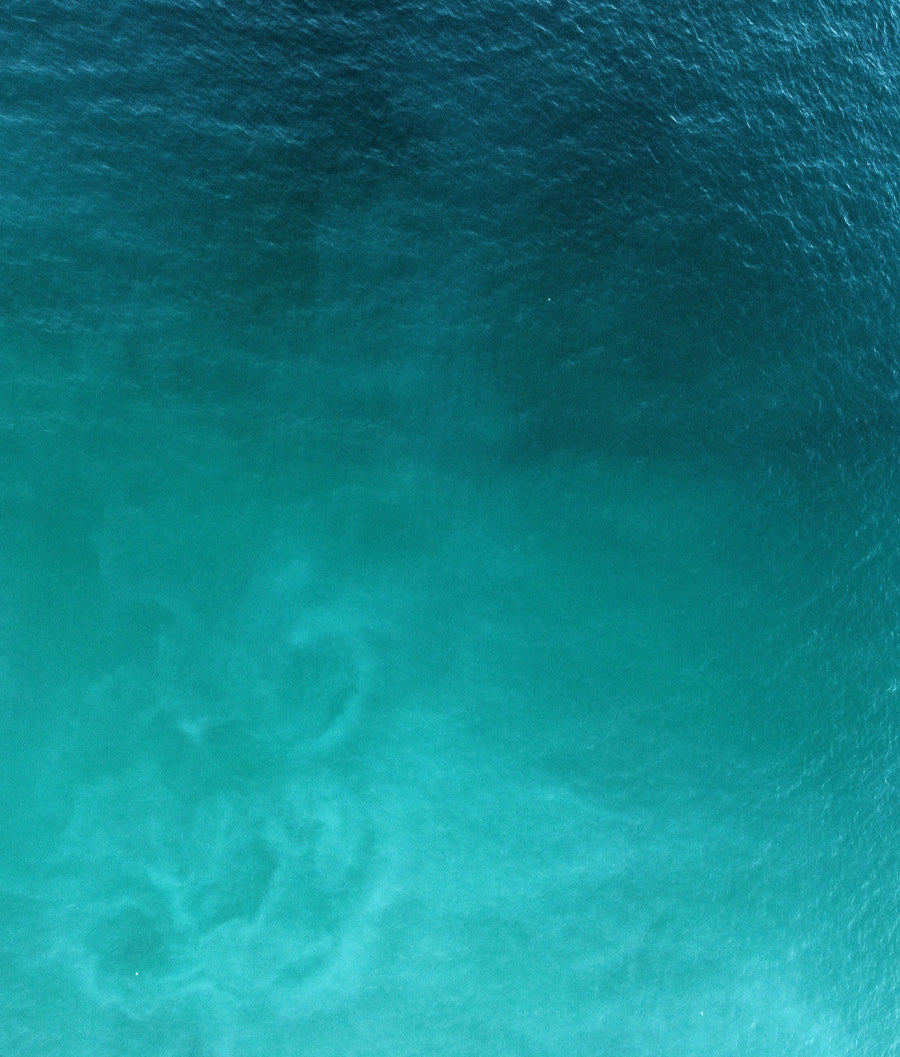 Azure Depths: Beneath the Veil of the Sea